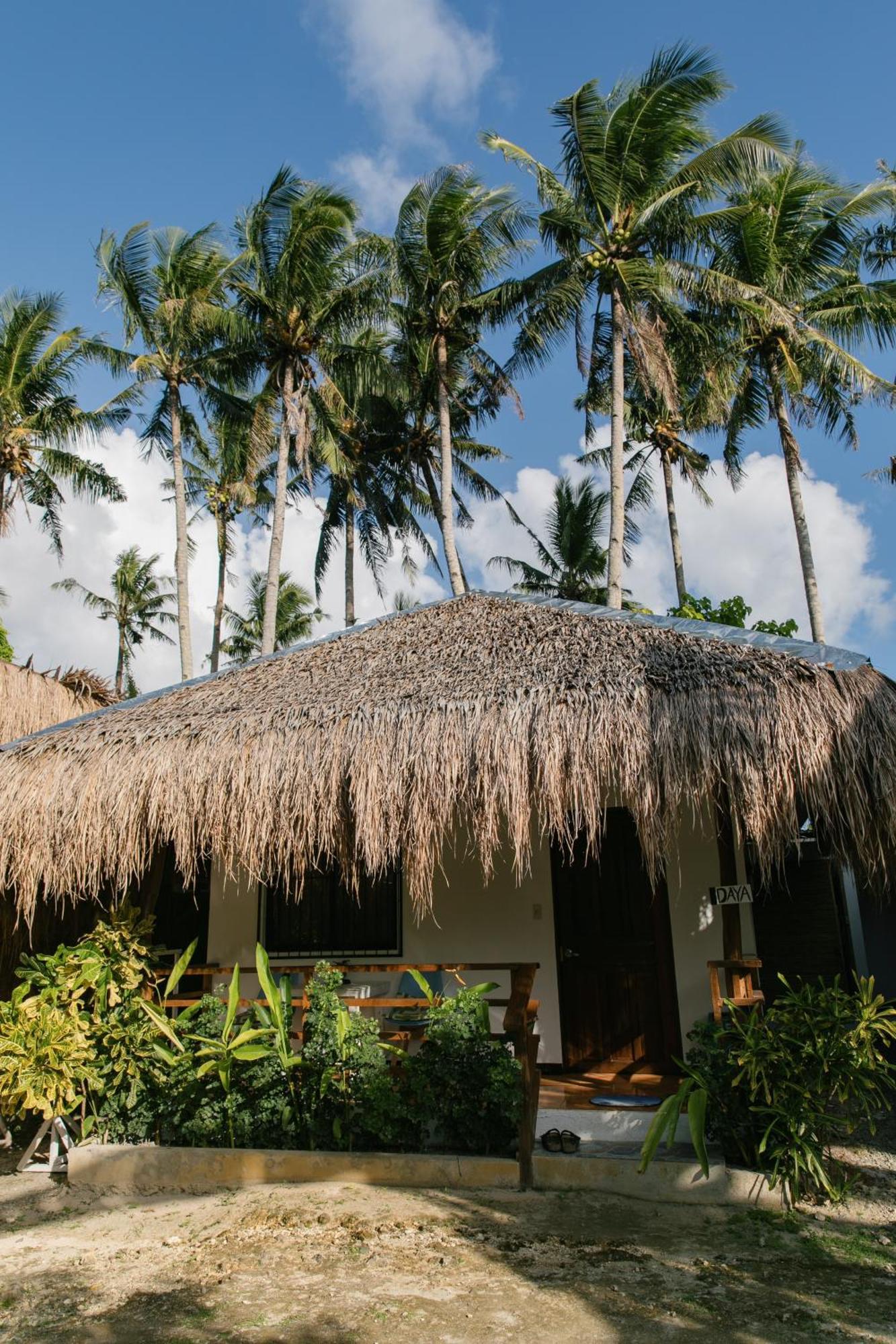 Ozen Freediving Hostel 卢纳将军城 外观 照片